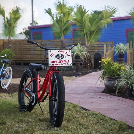 Camp Coyoacan ميناء أرانساس المظهر الخارجي الصورة