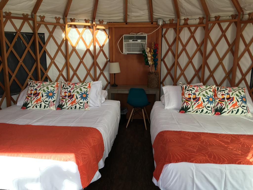 Camp Coyoacan ميناء أرانساس المظهر الخارجي الصورة