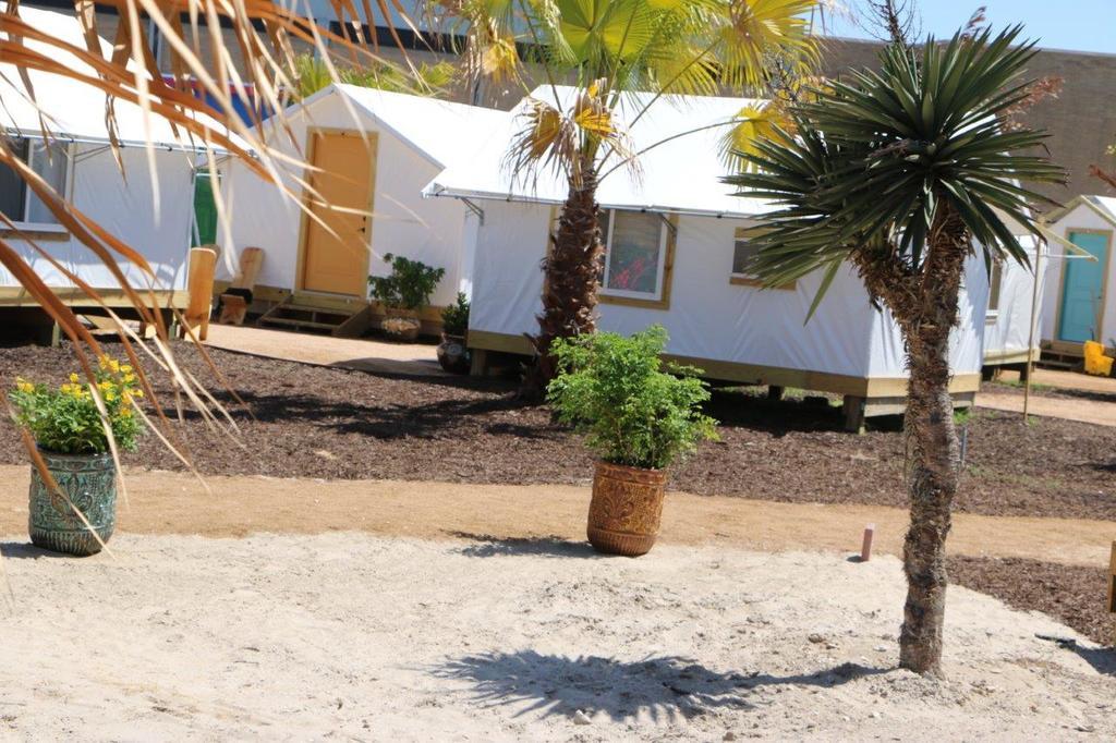 Camp Coyoacan ميناء أرانساس المظهر الخارجي الصورة