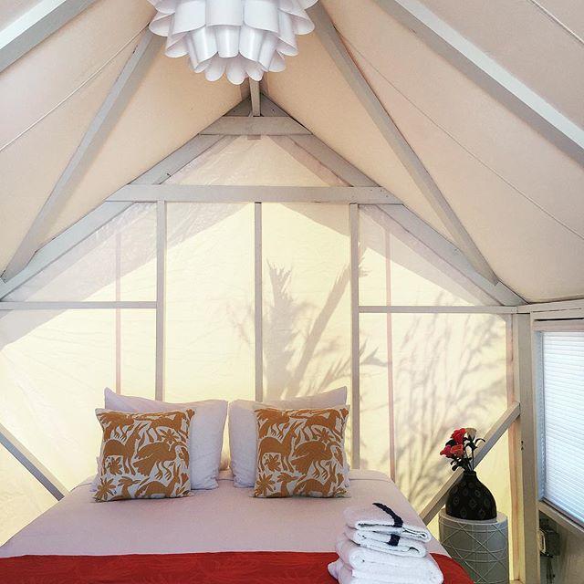 Camp Coyoacan ميناء أرانساس المظهر الخارجي الصورة